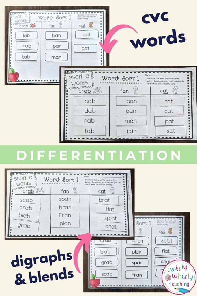 short a word sorts, differentiation